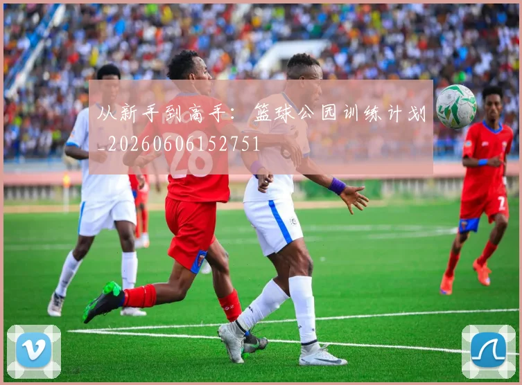 从新手到高手:篮球公园训练计划_20260606152751