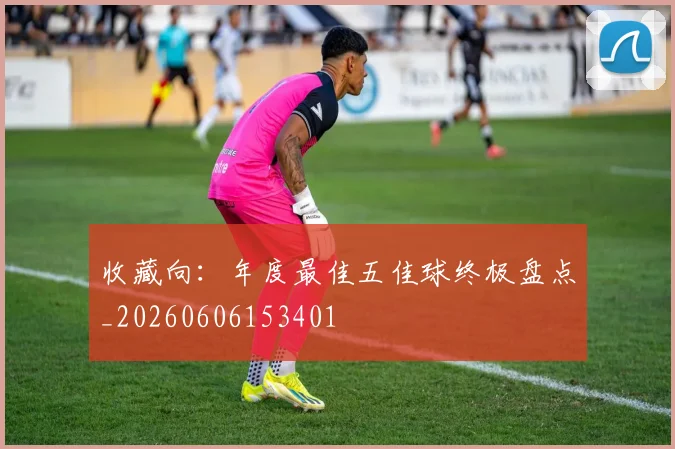 收藏向：年度最佳五佳球终极盘点_20260606153401