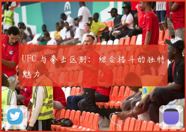 UFC 与拳击区别：综合格斗的独特魅力