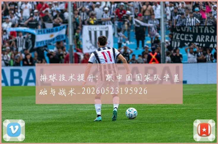 排球技术提升：跟中国国家队学基础与战术_20260523195926