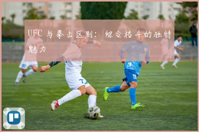 UFC 与拳击区别：综合格斗的独特魅力