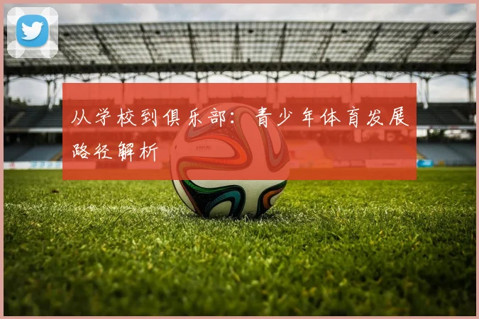 从学校到俱乐部:青少年体育发展路径解析