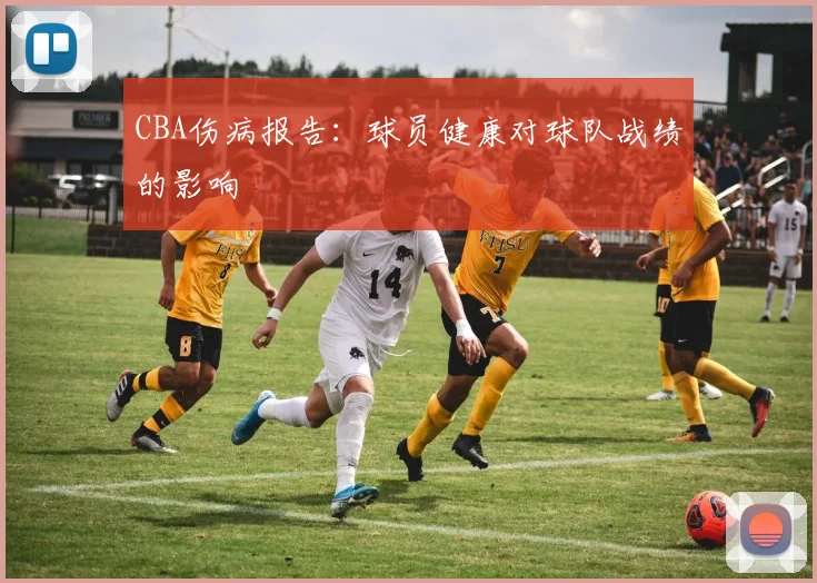 CBA伤病报告：球员健康对球队战绩的影响